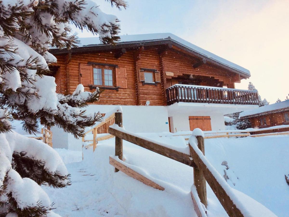 Bolquere Pyrenees 2000Ei Chalet Du Pere Castor别墅 外观 照片